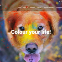 Site – great-vancouver-painters.com