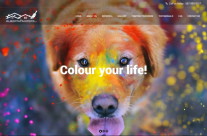 Сайт — great-vancouver-painters.com